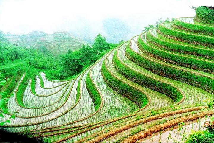 Electronic Bike Solo Trip to Limestone Peaks and Longji Terraces 7 Days